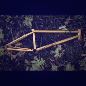 Anthony panza to short CULT frame